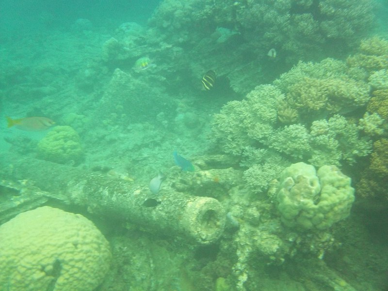 vanuatu diving